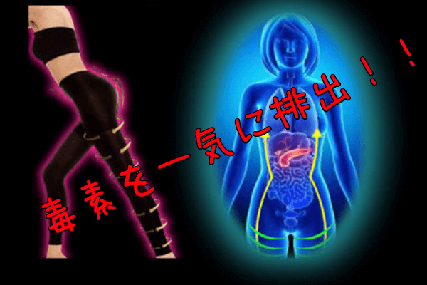 3.老廃物排出効果