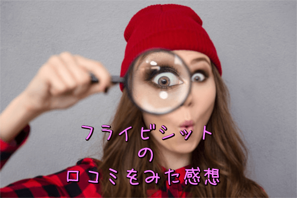 フライビシットの口コミをみた感想