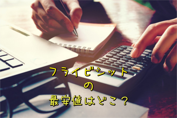 フライビシット最安値情報