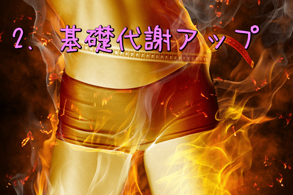 基礎代謝