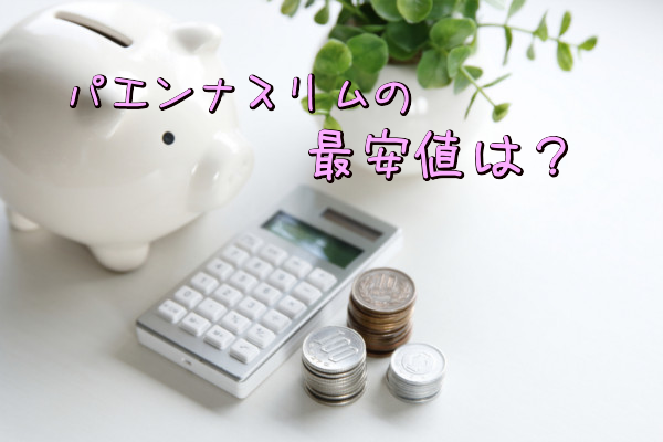 パエンナスリムの値段調査!最安値は?
