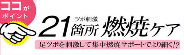 21箇所燃焼ケア