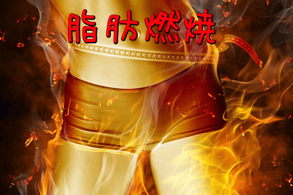 独自の編み込み技術