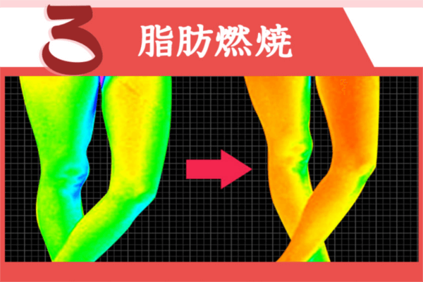 脂肪燃焼効果