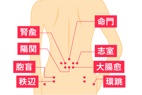 骨盤のツボ