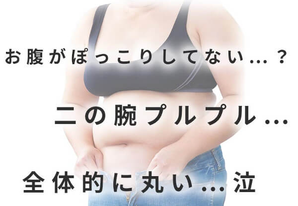 マジカルボディスリマーを着る前