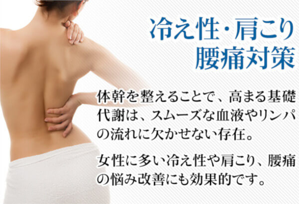 クリスチャントルソーの効果6:冷え性、肩こり、腰痛対策