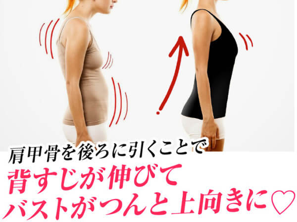 パエンナトップのこだわりその2.猫背を伸ばしてくれる独自の伸長バンド