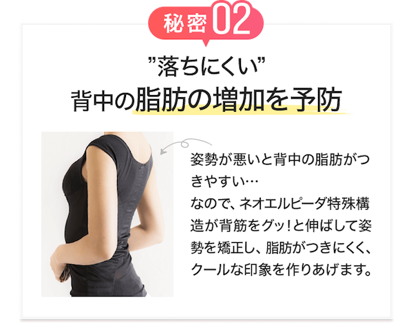 ベストボディインナーの秘密2脂肪の増加を予防