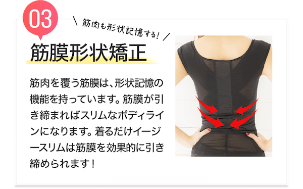 ベストボディインナーの効果3筋膜形状矯正