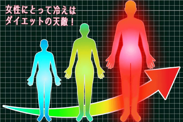 ドクターメディシェイプレギンス代謝改善