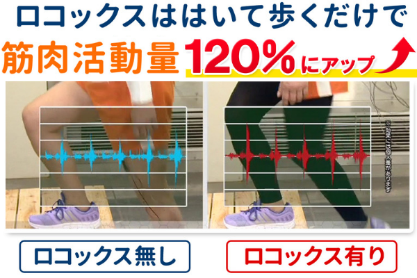 エクスパッツ筋肉量アップ
